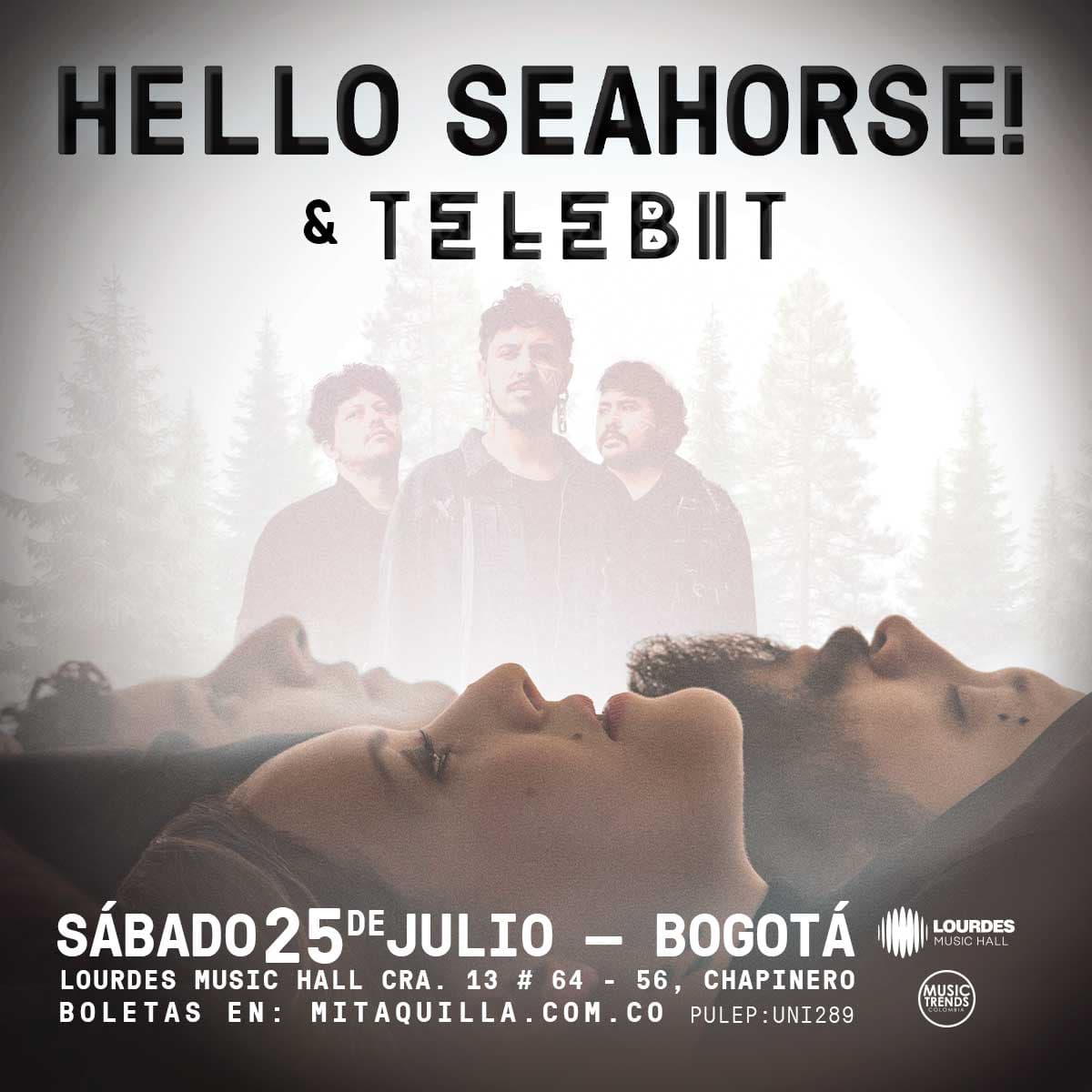 Hello Seahorse - Bogotá