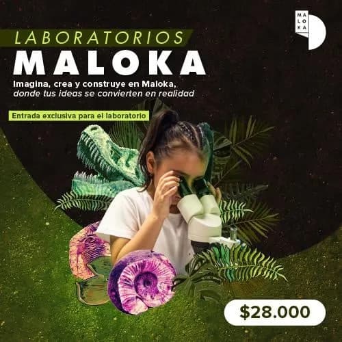 Laboratorios en Colombia: 19 de octubre y boletas 2026